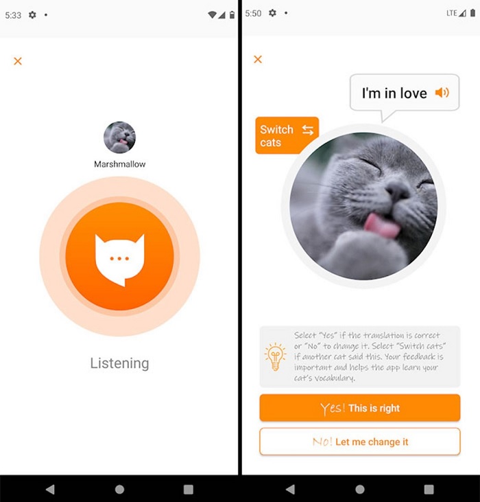 Giao diện ứng dụng MeowTalk