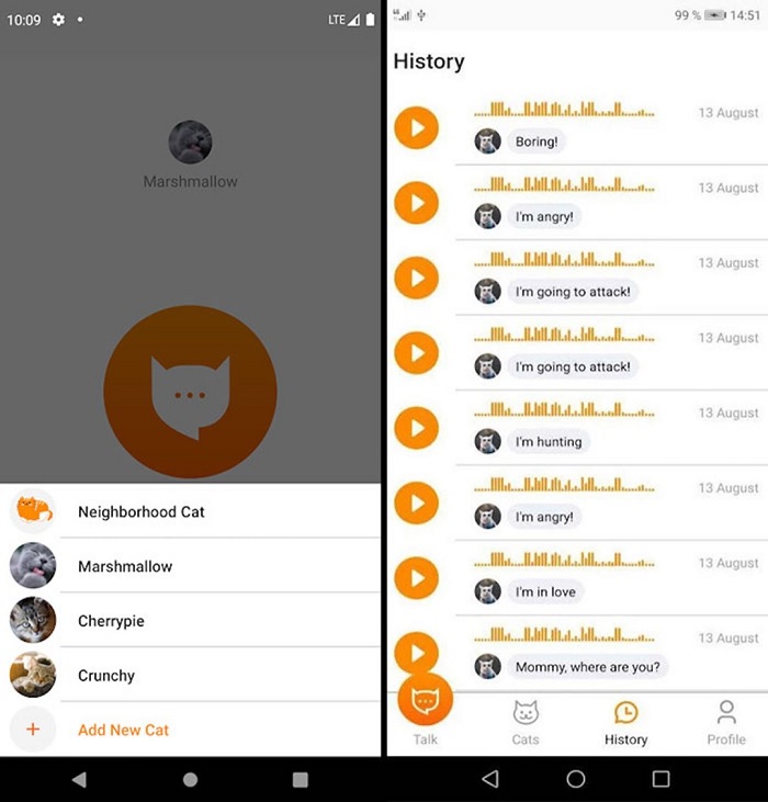 10 âm thanh phổ biến ở loài mèo