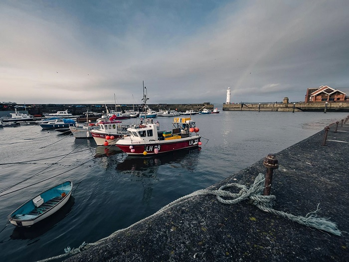 Khung cảnh này chụp bằng ống kính góc siêu rộng và sợi dây neo đã trở thành nhân vật chính ở tiền cảnh và nó giúp cho toàn bộ bố cục của ảnh hợp lý hơn