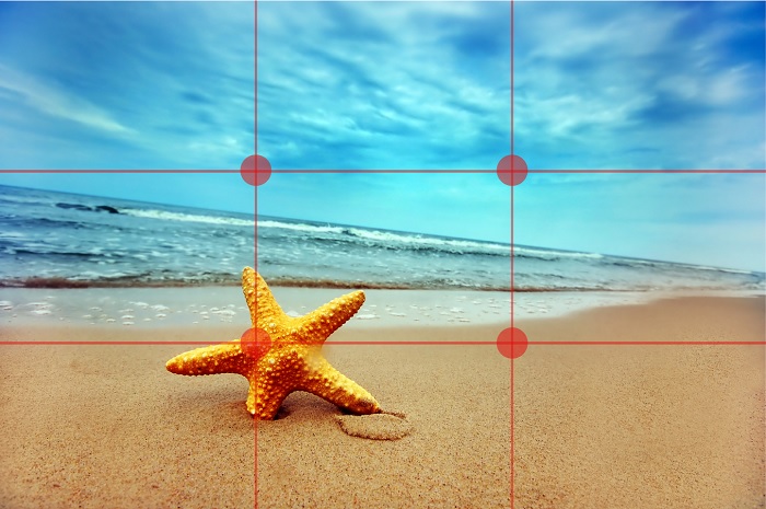 Lựa chọn bố cục hợp lý chính là cách thức tạo điểm nhấn cho sản phẩm giữa bối cảnh xung quanh