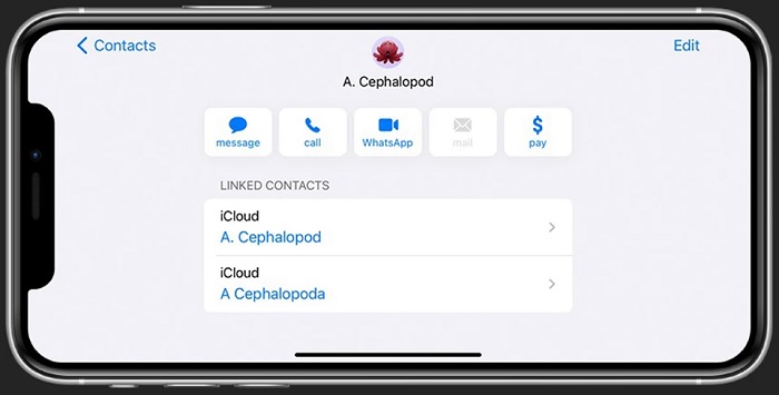 Danh bạ bị trùng lặp trong danh bạ