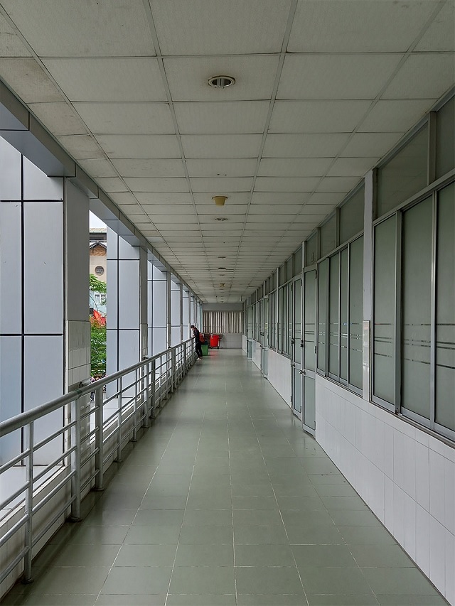 Ảnh khác chụp từ Galaxy A12 đủ sáng