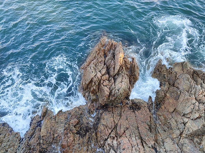 Ảnh chụp từ camera chính của Xiaomi Mi 11