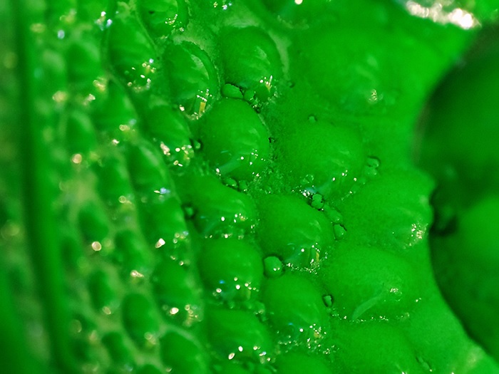 Ảnh chụp cận cảnh từ Mi 11