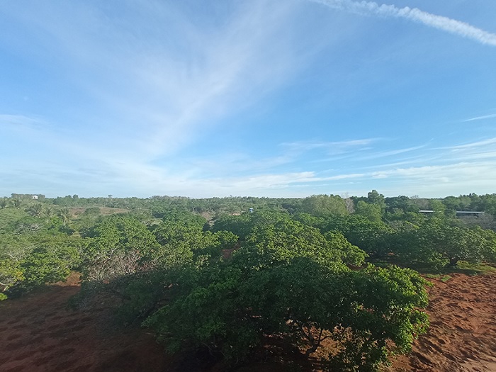 Ảnh chụp từ camera góc siêu rộng trong điều kiện đủ sáng, chế độ tự động