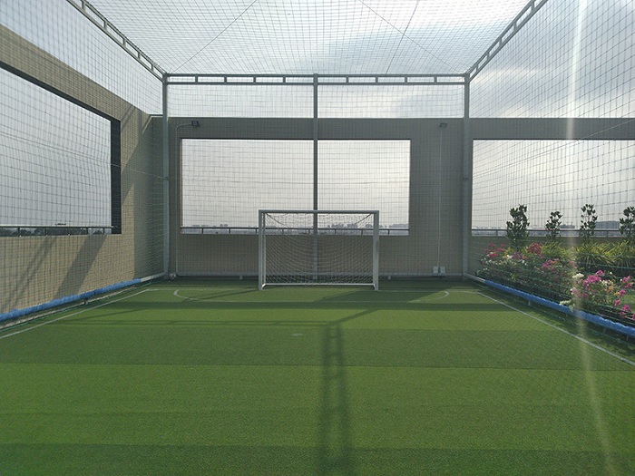 Ảnh chụp từ camera chính của Joy 3 trong điều kiện đủ sáng