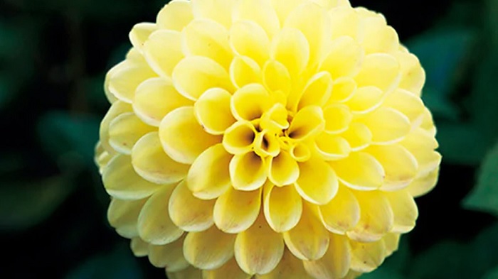 Bạn nên chú ý điều chỉnh độ sâu trường ảnh để lấy được các chi tiết mong muốn bắt nét