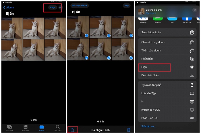 Chọn hiện để album hiển thị bình thường trở lại