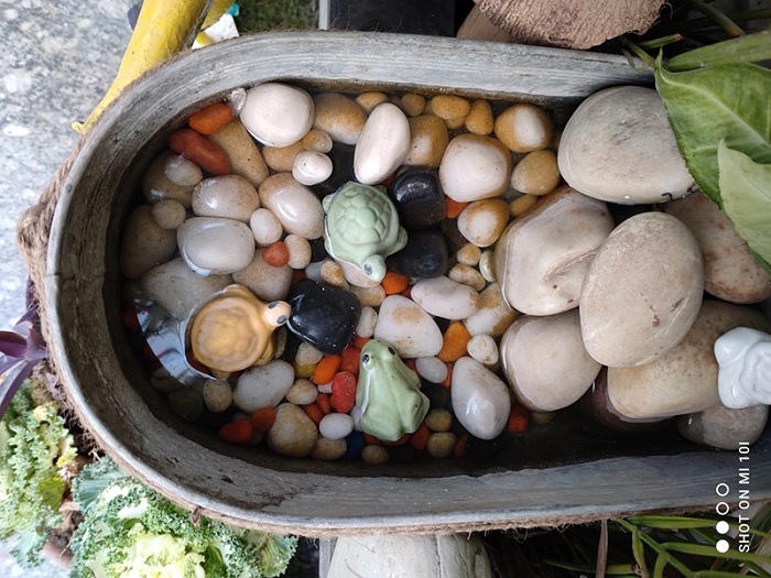 Ảnh chụp từ camera chính của Mi 10i 5G