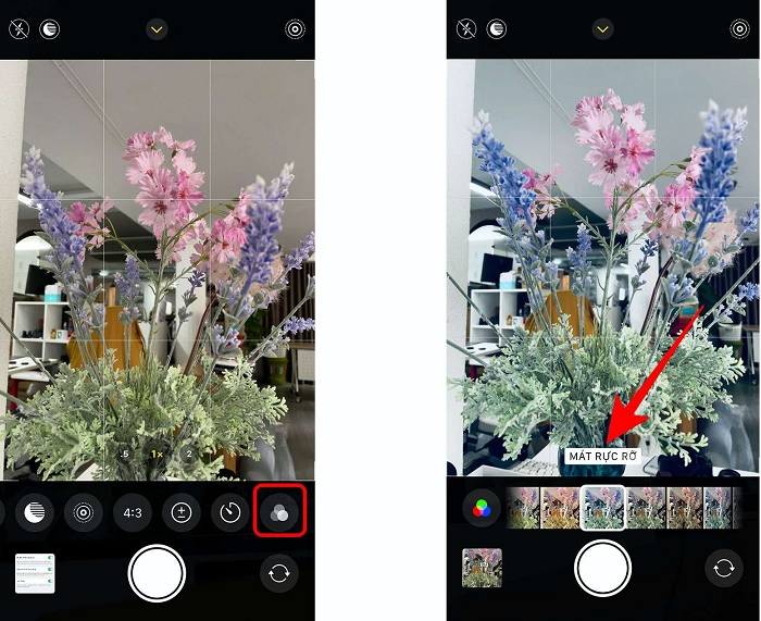 Ảnh trước và sau khi áp dụng bộ lọc
