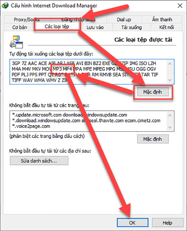 Sửa lỗi IDM không bắt được link định dạng MP3, MP4 (1)