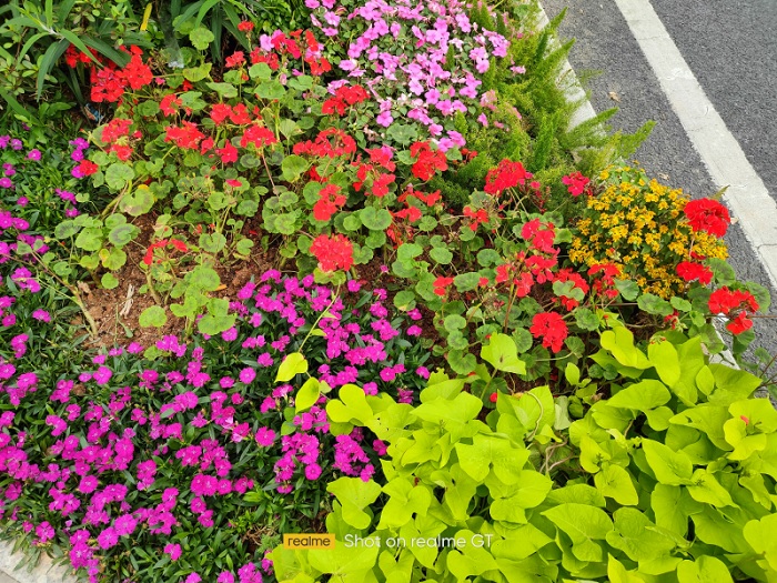 Màu sắc rực rỡ, sắc nét