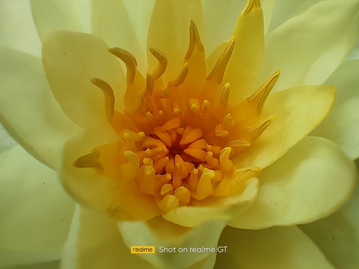 Các chi tiết khá bệch cùng màu sắc vô cùng nhợt nhạt khi chụp từ camera macro