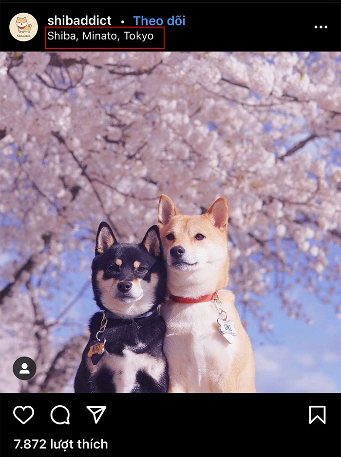 Bạn còn có thể sử dụng Geotag để gắn vị trí địa lý trong Instagram