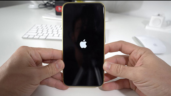 Điện thoại bị treo logo