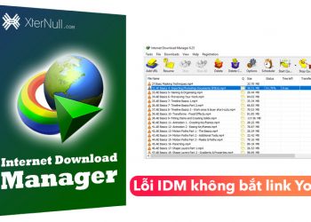 Lỗi IDM không bắt được link Youtube