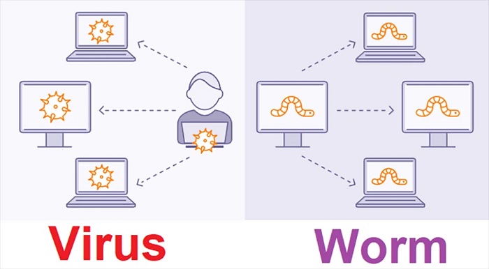 Sự khác nhau giữa Virus và Worm máy tính