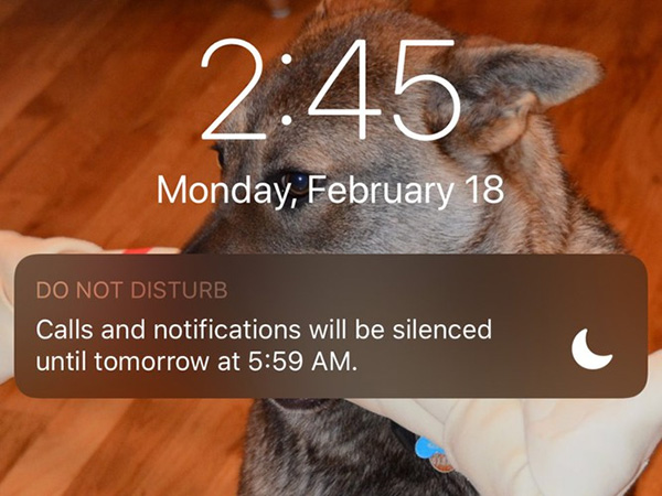 Vô hiệu hóa tính năng “Do not disturb” (không làm phiền)