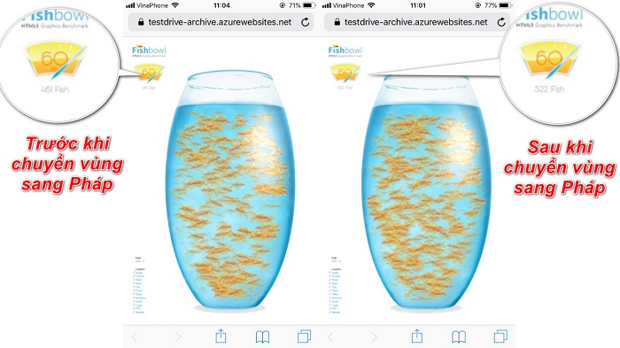 Test thả cá sau khi chuyển vị trí sang Pháp