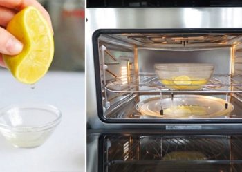 cách làm sạch lò vi sóng