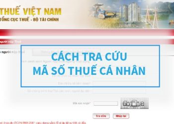 Cách kiểm tra mã số thuế cá nhân online đơn giản