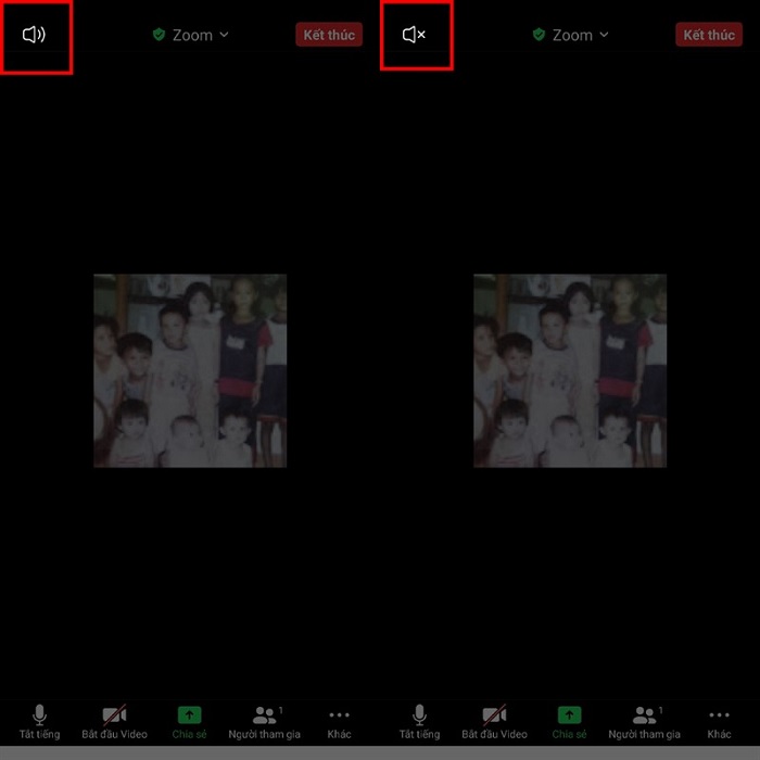 cách tắt âm thanh trên Zoom