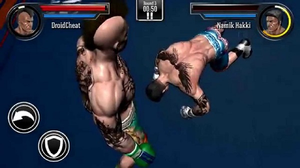 Punch Boxing 3D