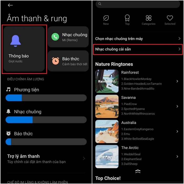 Thay đổi âm thông báo trên điện thoại Android