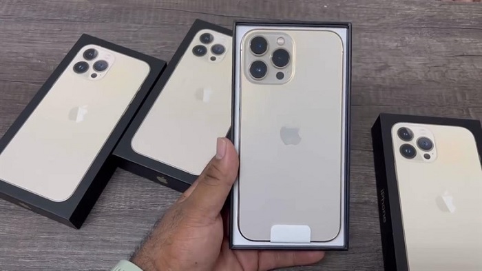 iPhone 13 Pro Max