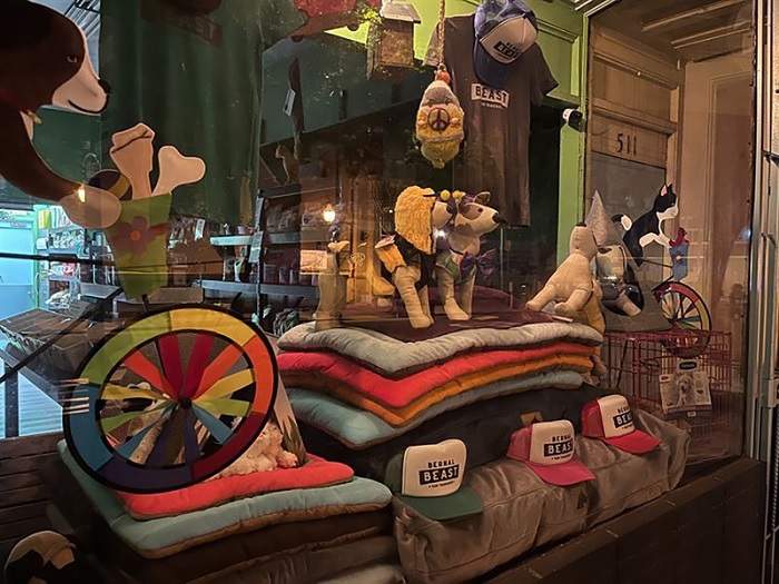 Ảnh chụp từ camera chính ở điều kiện ánh sáng trong nhà