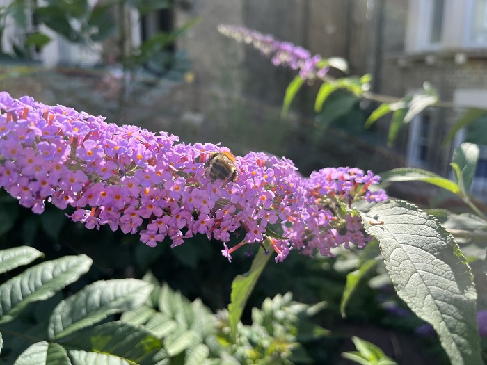 đánh giá chi tiết iPhone 13