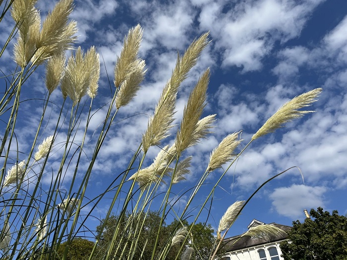 đánh giá chi tiết iPhone 13