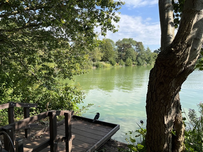 đánh giá chi tiết iPhone 13