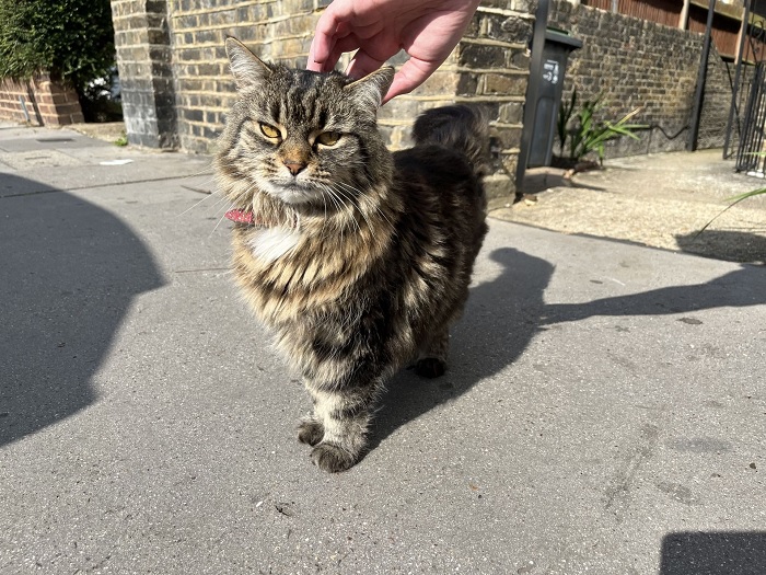 đánh giá chi tiết iPhone 13