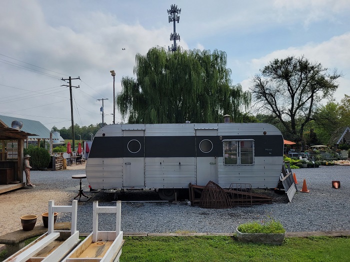 … ảnh chụp từ S21 Plus lại mờ nhạt hơn và tạo cảm giác bị thiếu chiều sâu