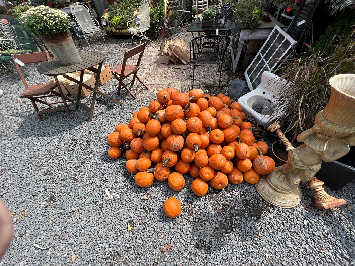 Ảnh chụp từ ống kính góc siêu rộng iPhone 13 Pro cho chất lượng tốt, màu sắc tự nhiên, sắc nét, độ phơi sáng ở mức vừa phải