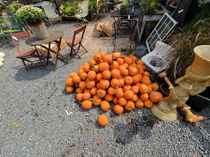 Galaxy S21 Plus cho tông màu đậm hơn