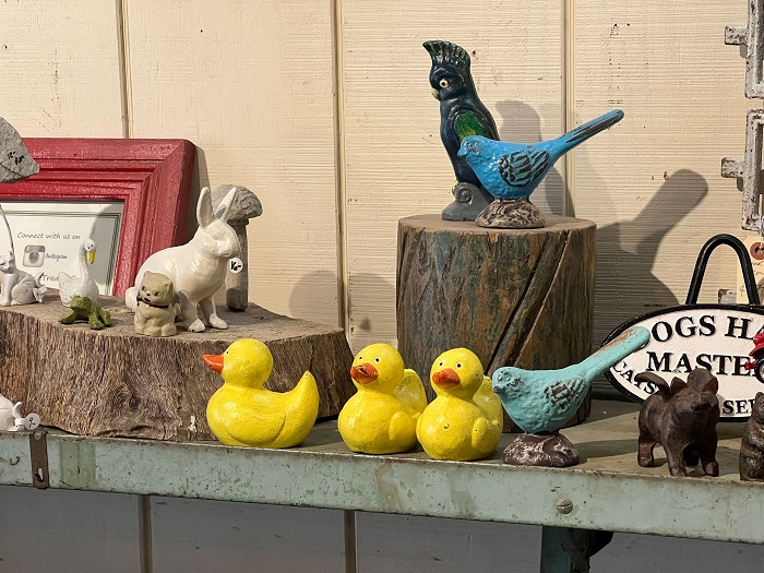 Ảnh chụp từ camera tele của iPhone 13 Pro Max. Màu sắc rực rỡ và có phần bị đẩy ấm lên cao