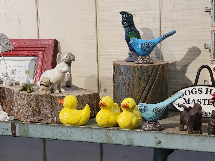 Ảnh từ S21 Pro trông mát mẻ hơn