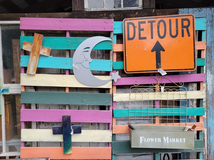 ….ảnh chụp từ Galaxy S21 Plus