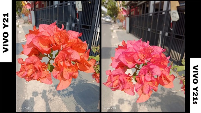 So sánh chất lượng chụp camera của Y21 và Y21s