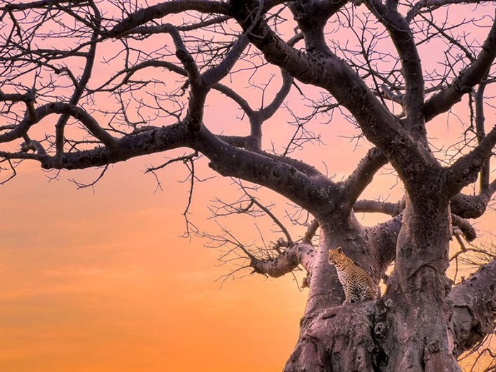 Ảnh chụp bằng camera tele chế độ ProRAW và đã được được tùy chỉnh trong Lightroom CC