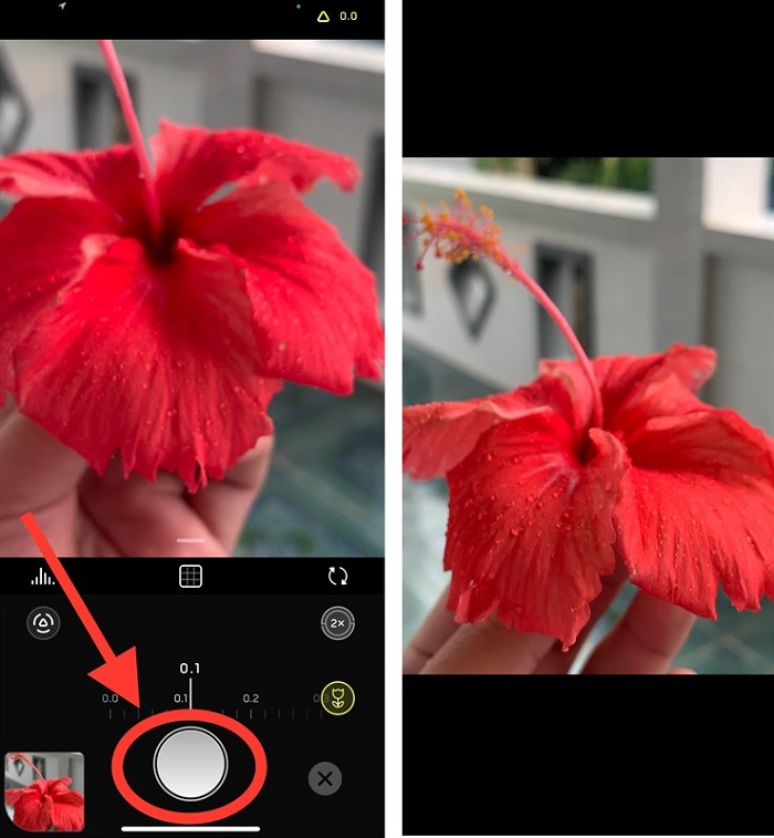 Kết quả ảnh chụp Macro từ iPhone đời cũ
