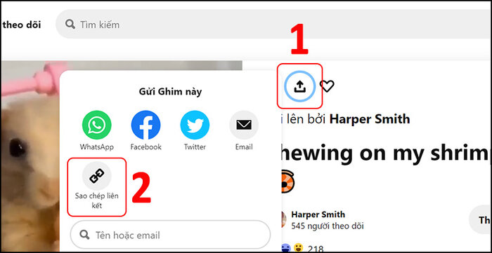 Lựa chọn sao chép liên kết video cần tải