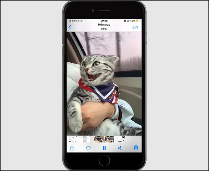 Video xuất hiện ở mục Ảnh