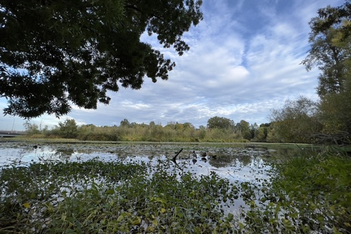 Ảnh chụp từ camera góc siêu rộng