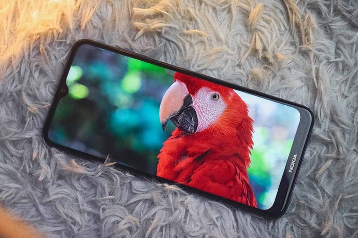 Màn hình Nokia G10