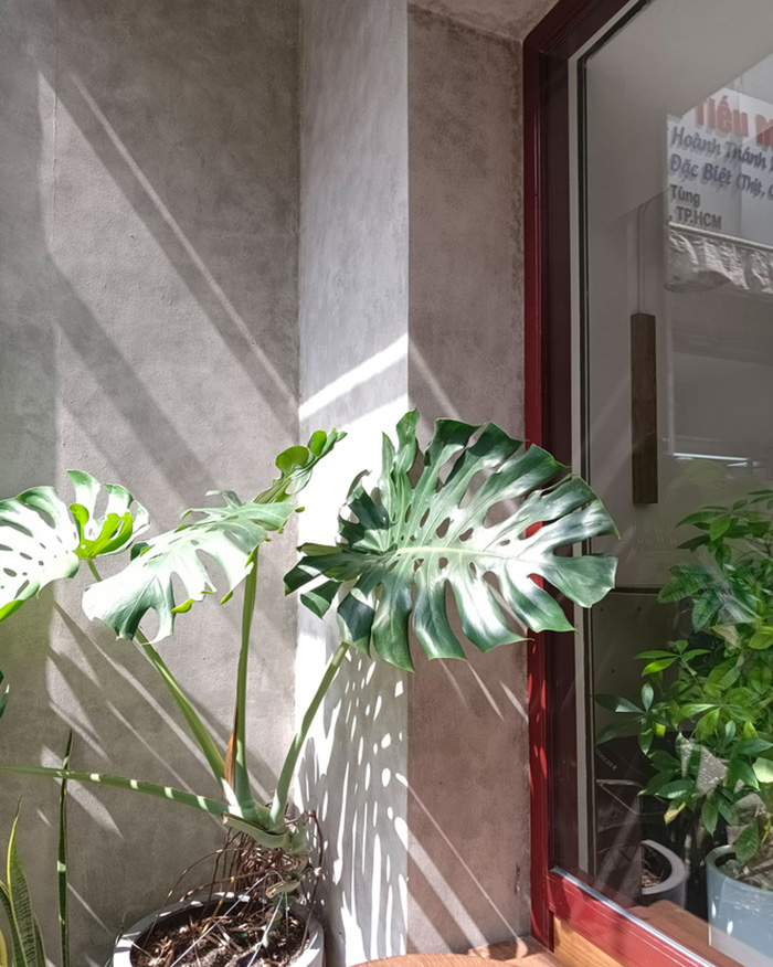 Ảnh chụp bằng camera trước