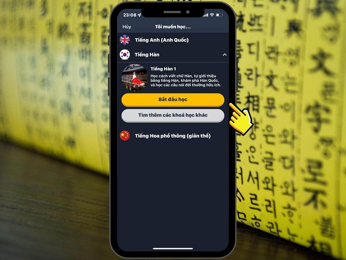 Lựa chọn cấp bậc học và nhấn nút Bắt đầu học