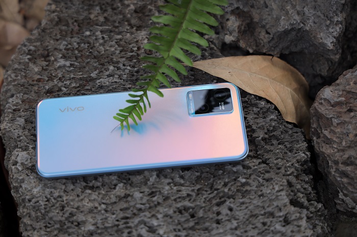 Mặt lưng chuyển màu bắt mắt